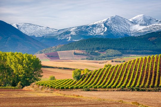 La Rioja
